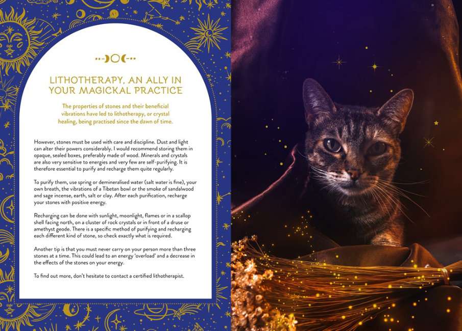 The Magick of Cats