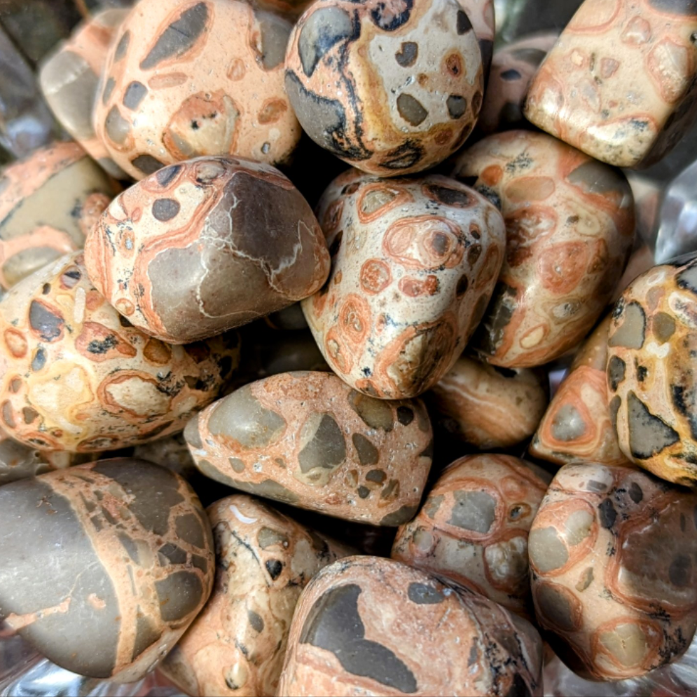 Leopardskin Jasper (Rhyolite) Tumble