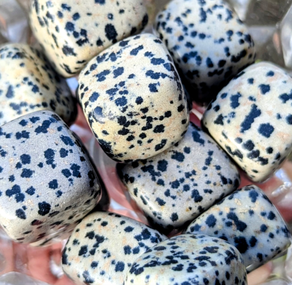 Dalmatian Jasper Tumble
