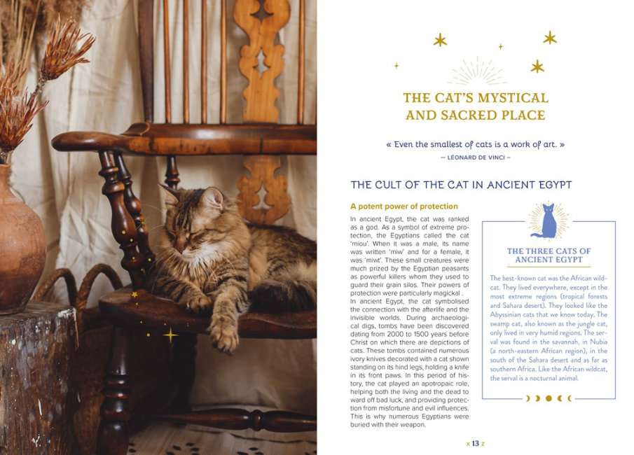 The Magick of Cats