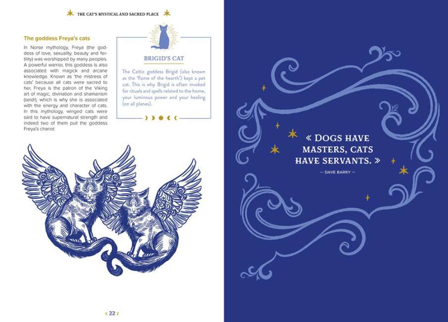 The Magick of Cats