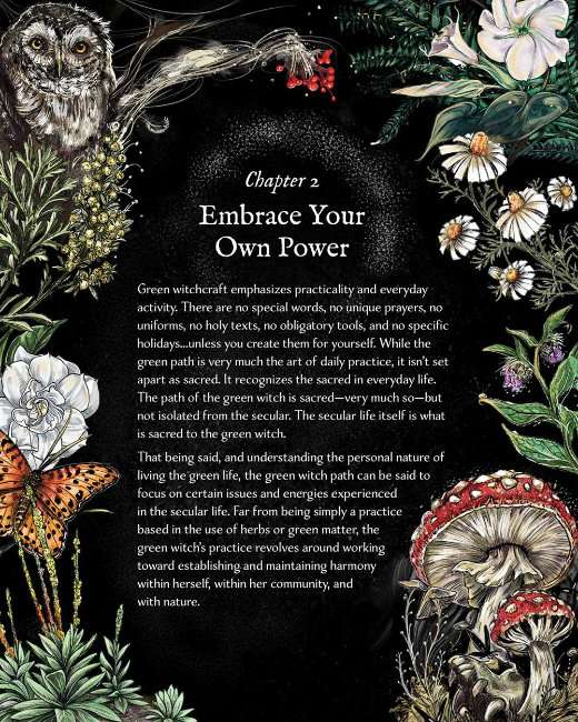The Green Witch Illustrated