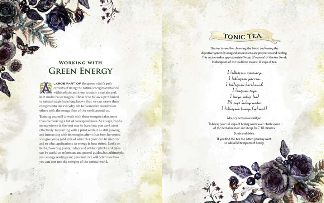 The Green Witch Illustrated