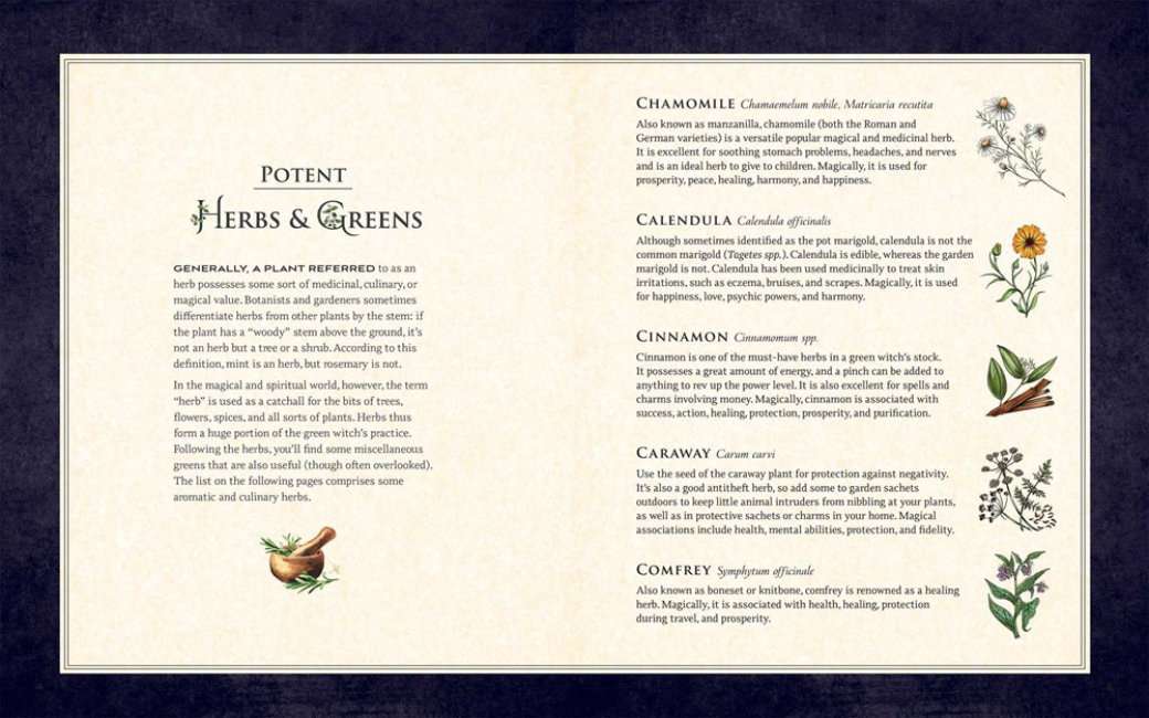 The Green Witch Illustrated