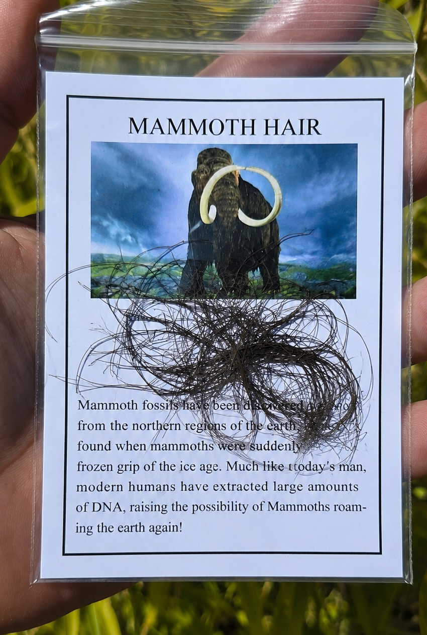 Mammoth Hair