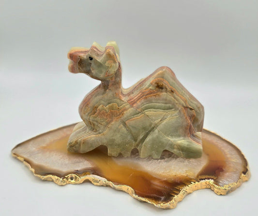 Green Banded Onyx Dromedary