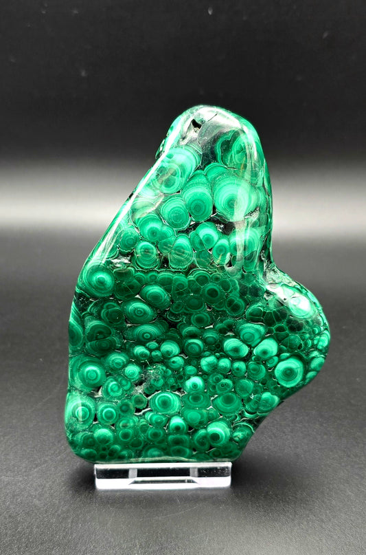 Botryoidal Malachite Freeform