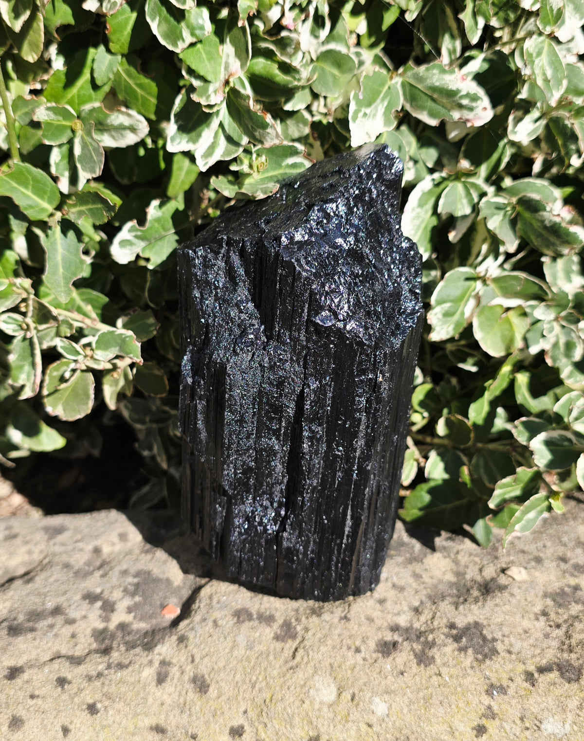 Black Tourmaline Raw 'El Capitán'