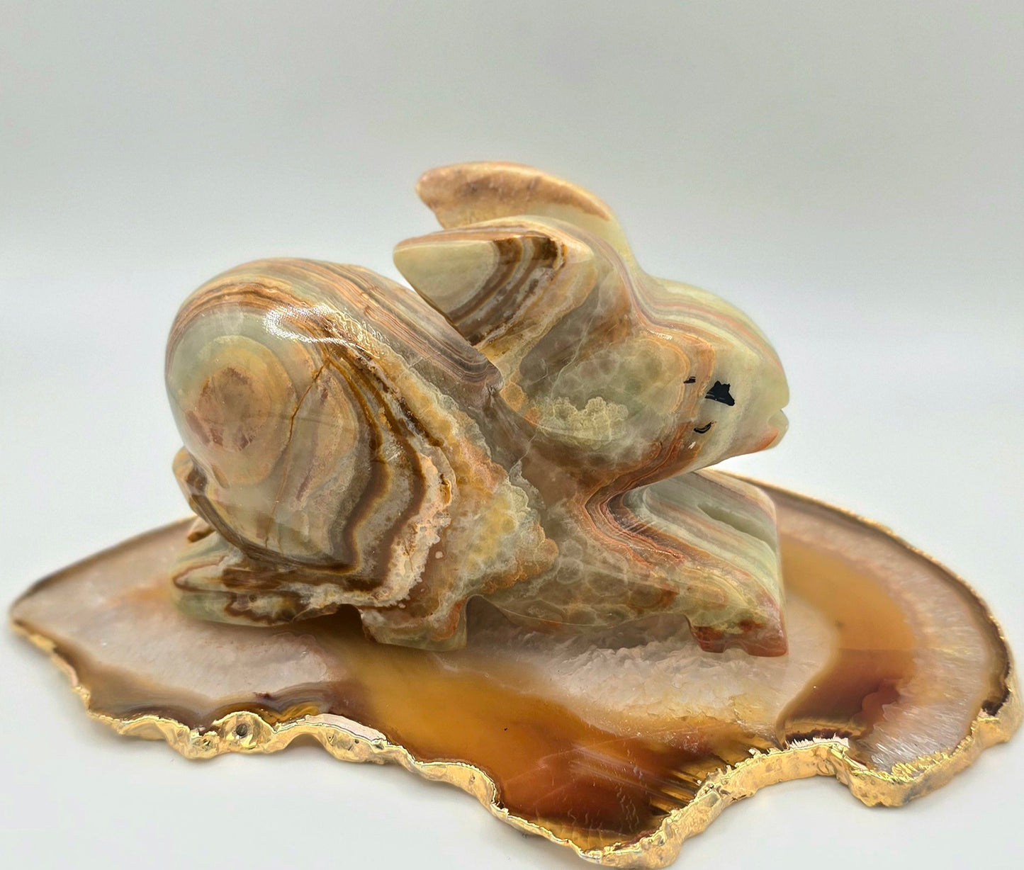 Green Banded Onyx Rabbit