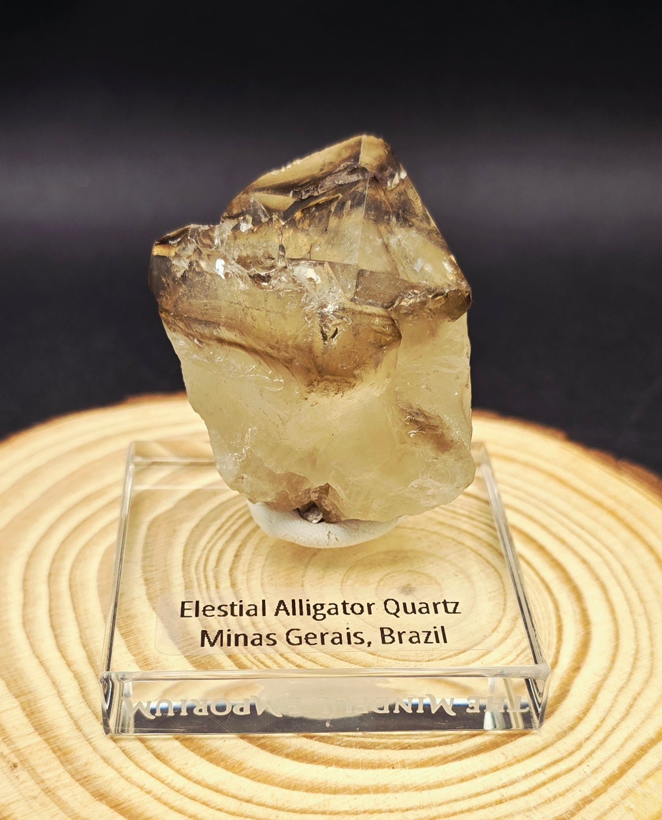 Elastical Aligator Quartz specimen