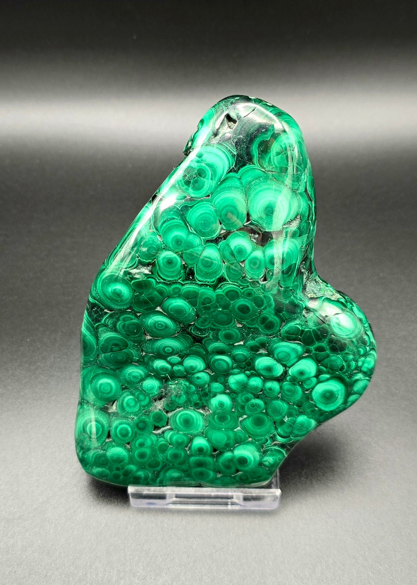 Botryoidal Malachite Freeform