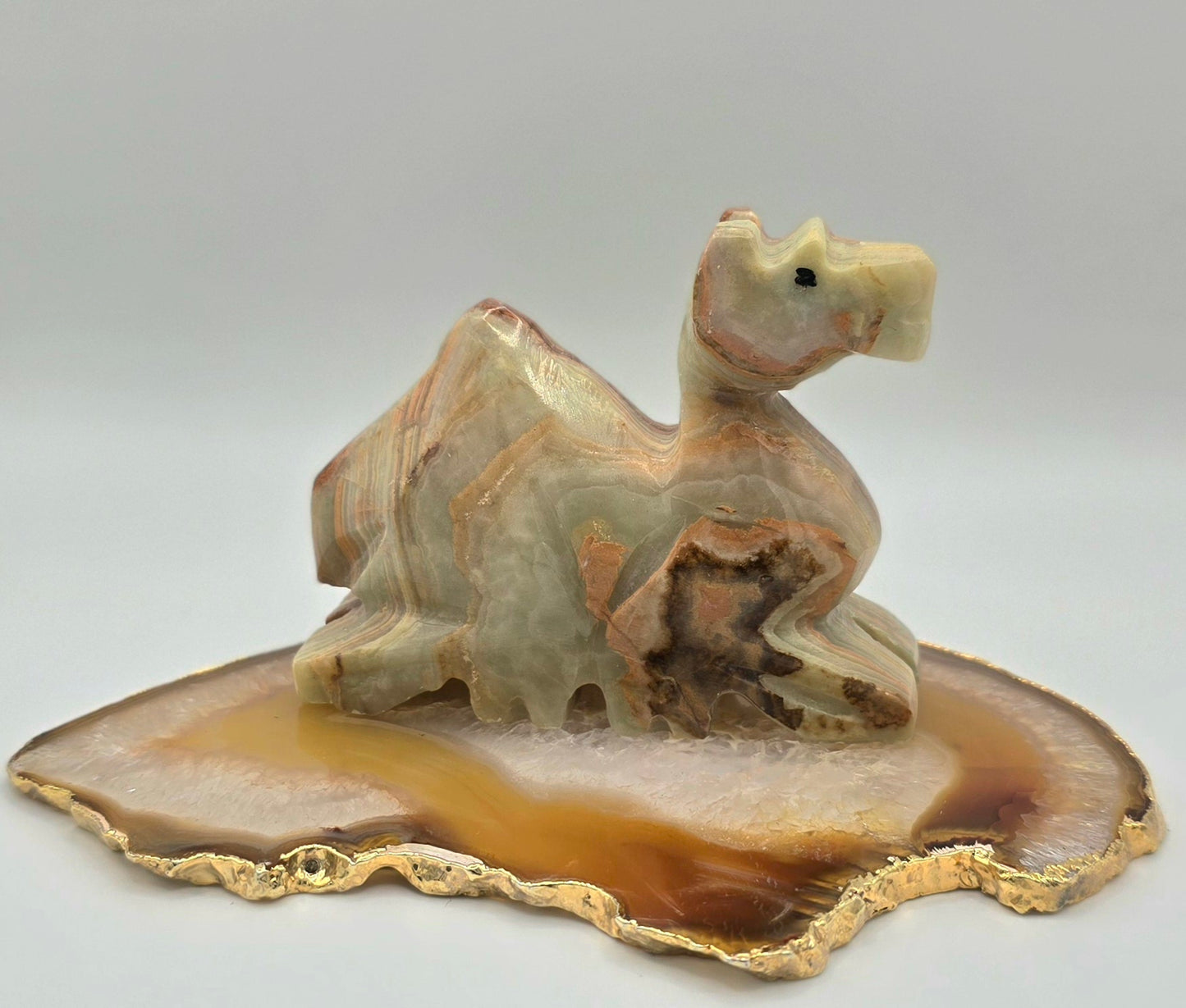 Green Banded Onyx Dromedary