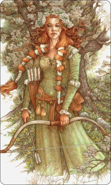 The Sherwood Oracle
