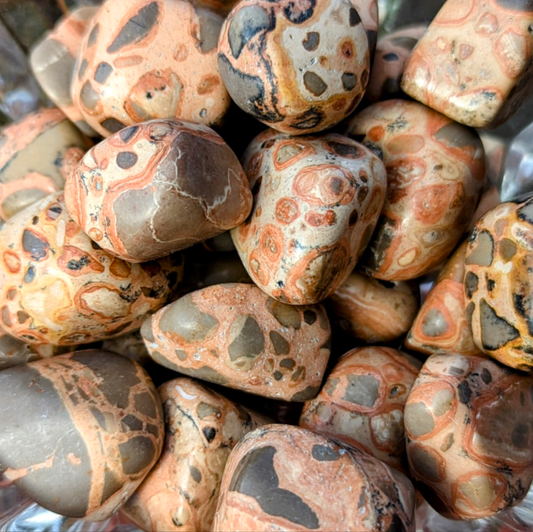 Leopardskin Jasper (Rhyolite) Tumble