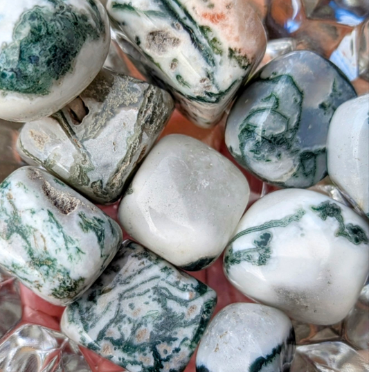 Tree Agate Tumble