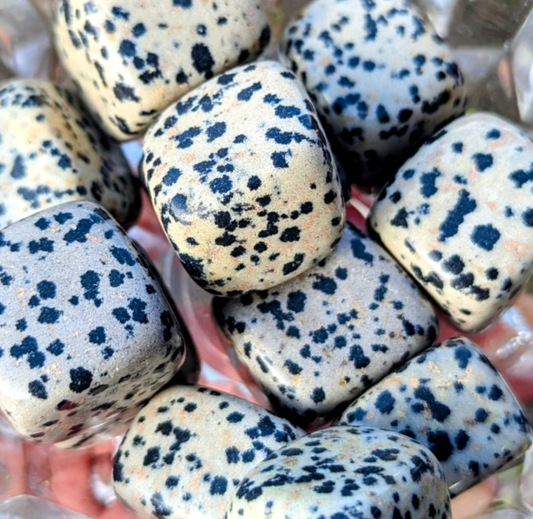 Dalmatian Jasper Tumble