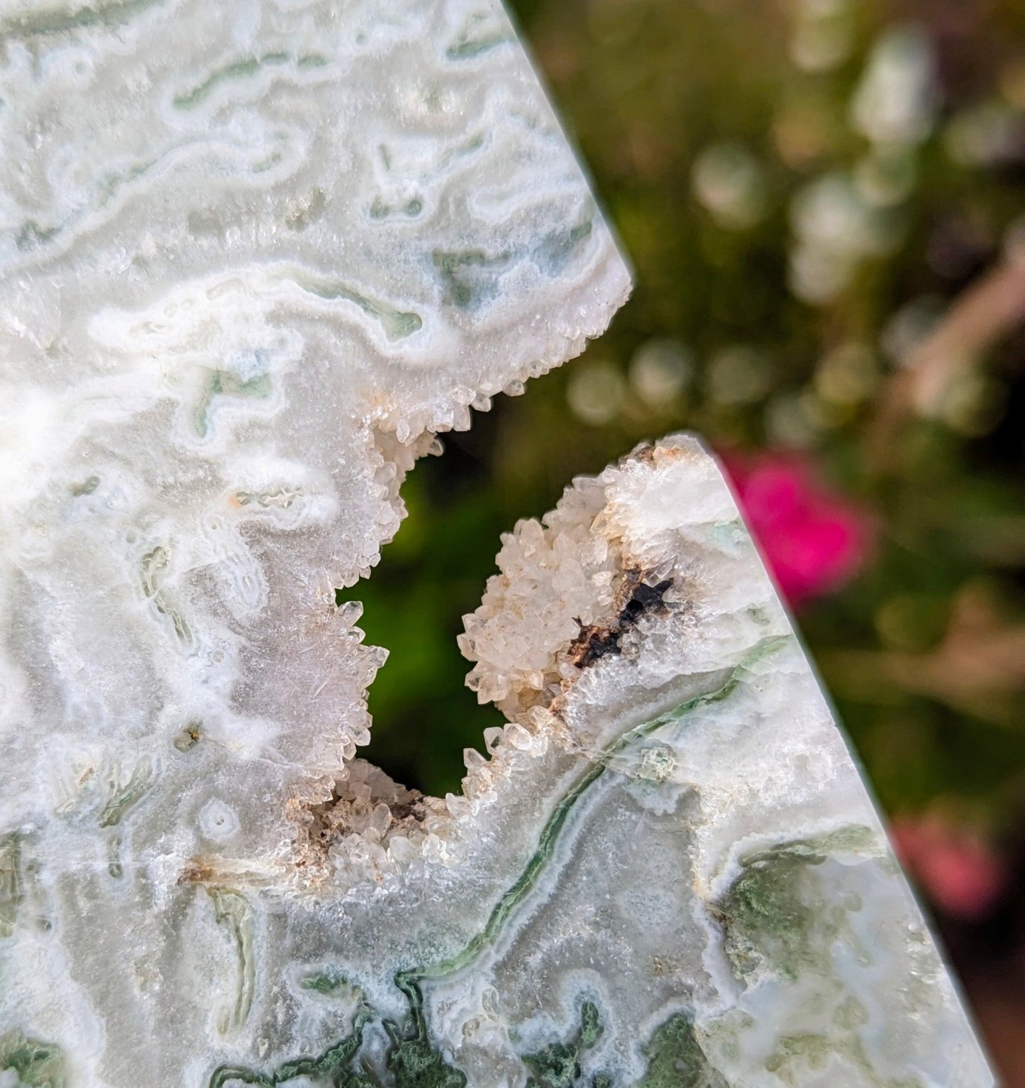 Tree Agate Slice