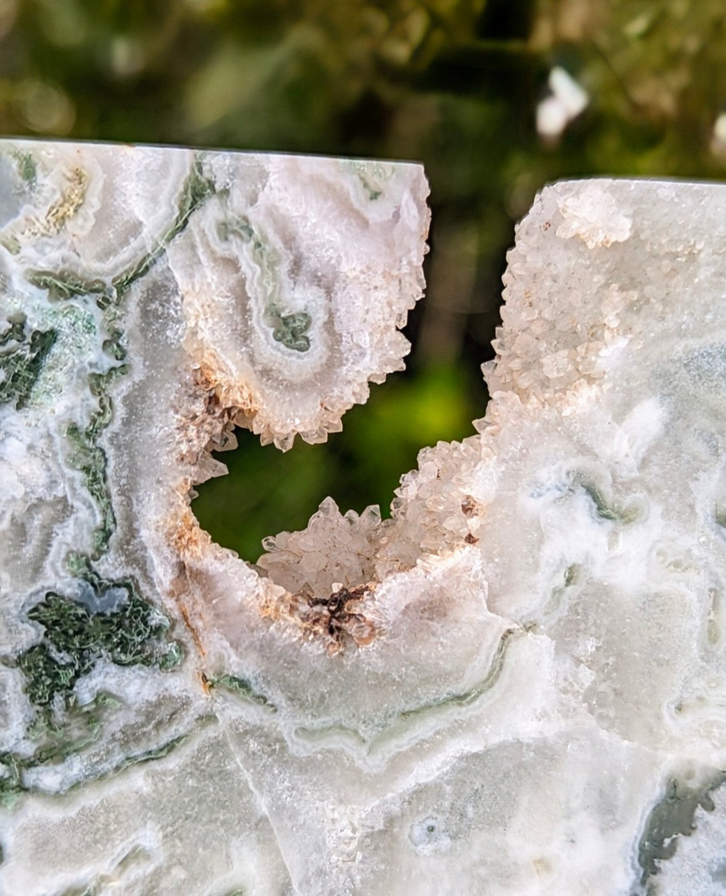 Tree Agate Slice