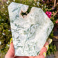 Tree Agate Slice