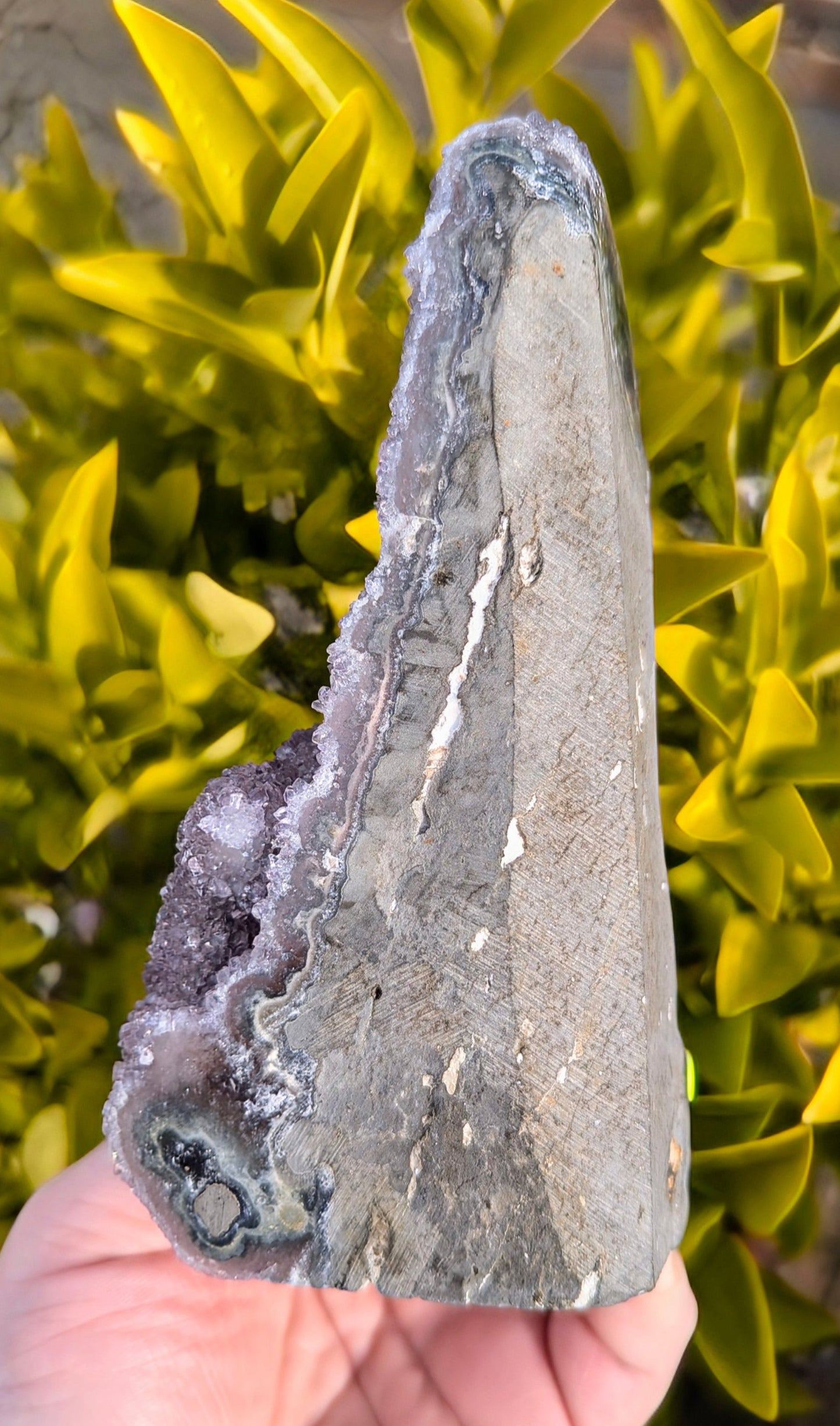 Amethyst Free Standing Cluster