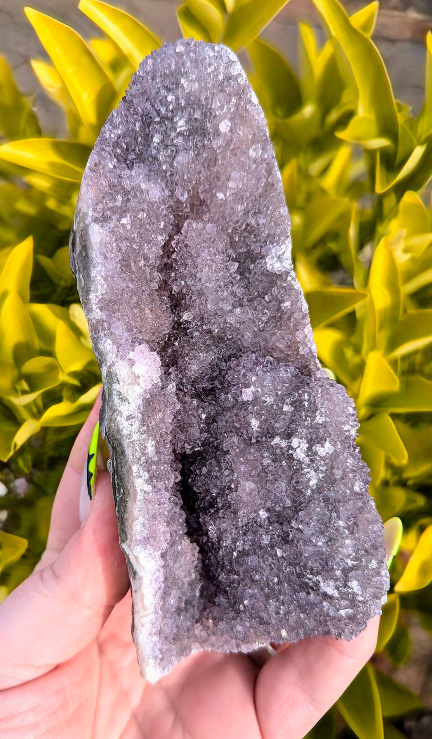 Amethyst Free Standing Cluster