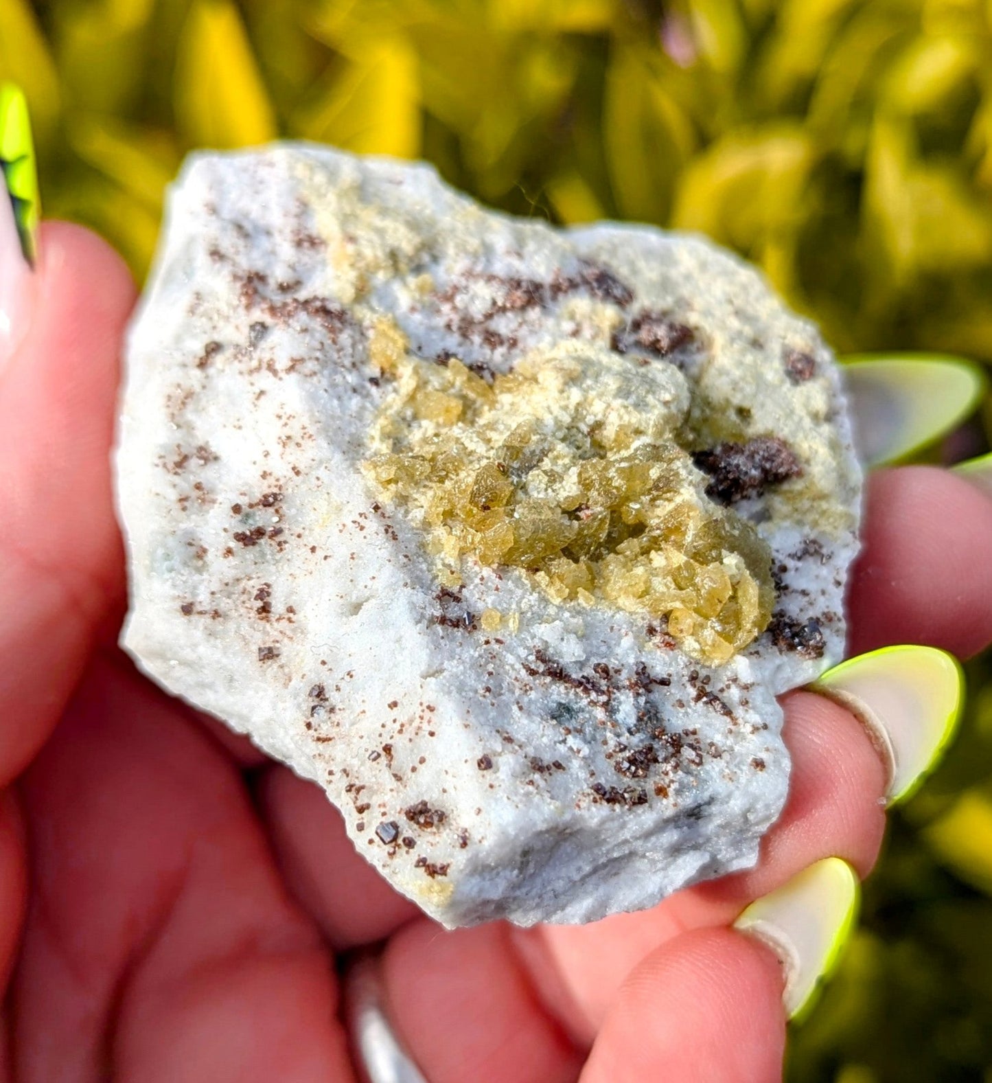 Rare Titanite Sphene & Garnet Specimen