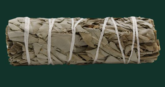 10cm Californian White Sage Smudge stick