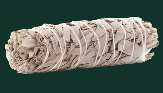 15cm Californian White Sage Smudge Stick