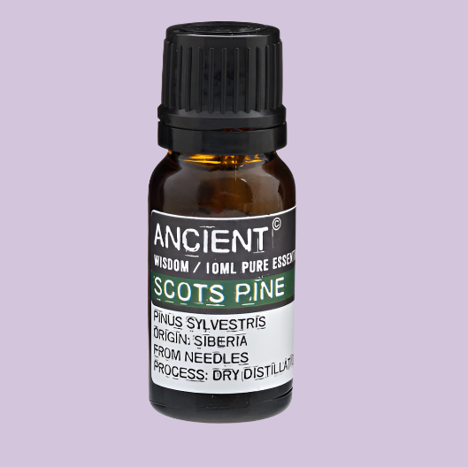 Scots Pine Essential Oil 10ml