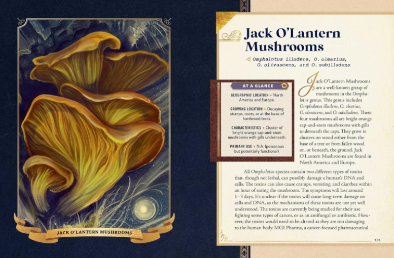 The Little Book of Mushrooms