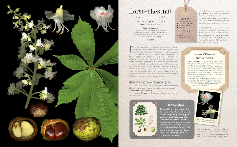 100 Plants That Heal - The Illustrated Herbarium of Medicinal Plants