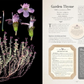 100 Plants That Heal - The Illustrated Herbarium of Medicinal Plants