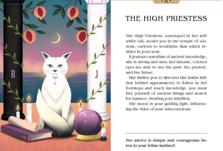 Magical Cats Tarot