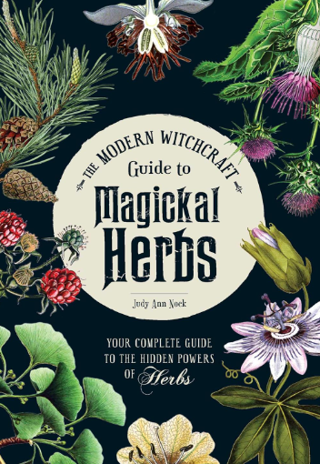 Modern Witchcraft Guide To Magical Herbs