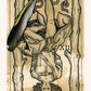 Medieval Feathers Tarot