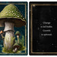 Mushrooms - Daily Dose of Wisdom