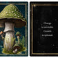 Mushrooms - Daily doses of wisdom