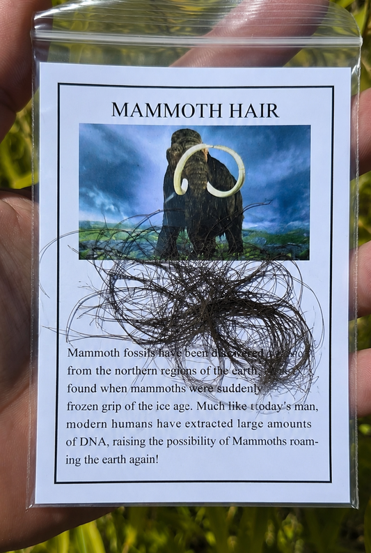 Mammoth Hair