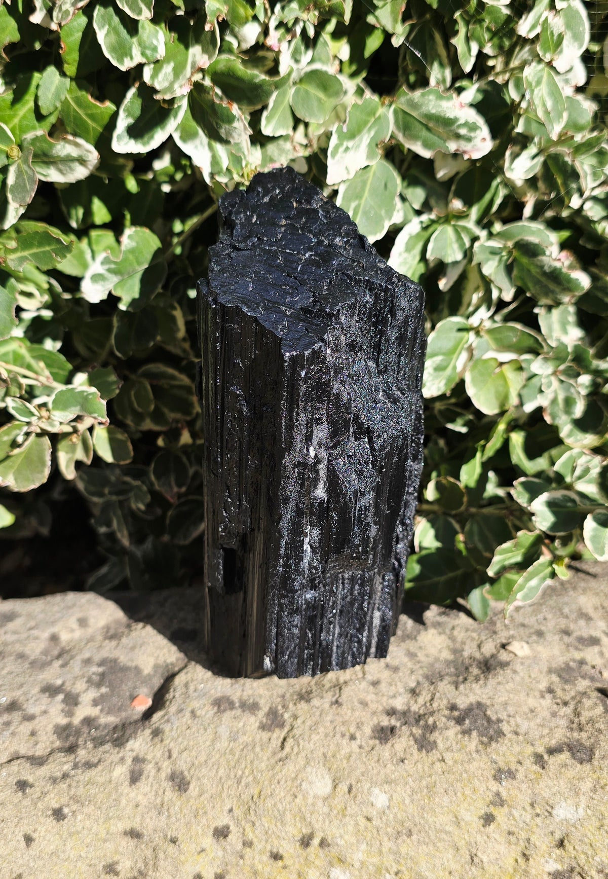 Black Tourmaline Raw 'El Capitán'