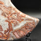 Large Mexican Lace Agate Moon