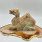 Green Banded Onyx Dromedary
