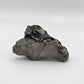 Elite/Noble Shungite