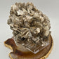 Gold Mica