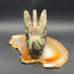 Volcano Agate Dragon Skull Carving