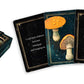 Mushrooms - Daily doses of wisdom