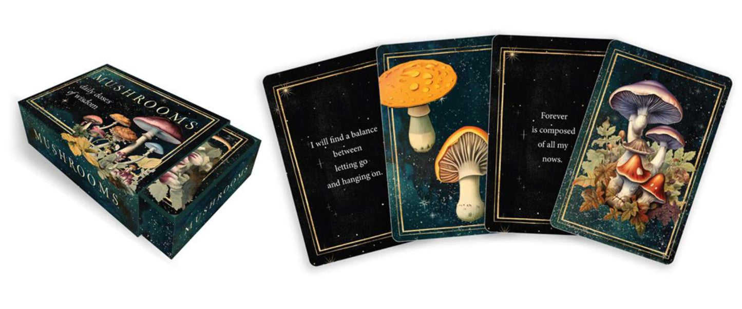 Mushrooms - Daily doses of wisdom