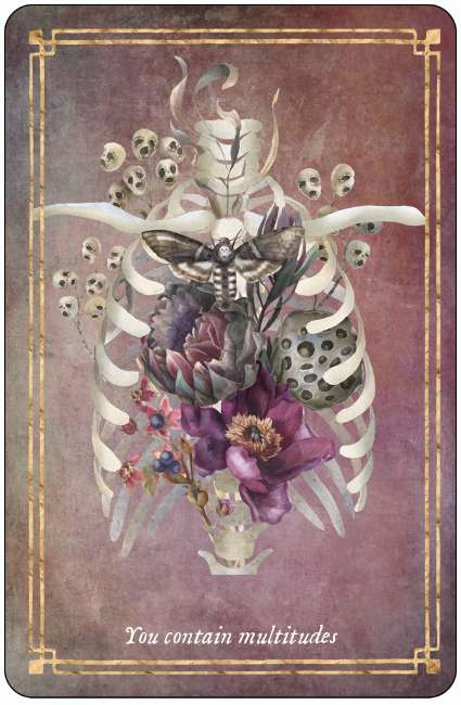 Memento Mori - 36 Cards to embrace life