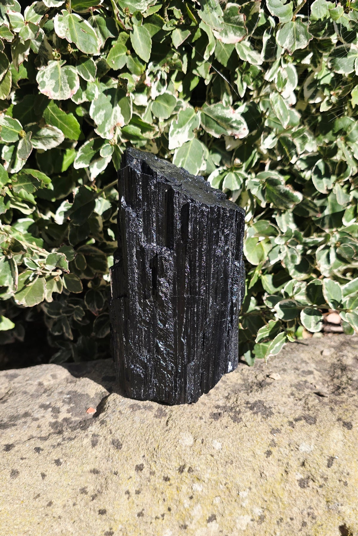 Black Tourmaline Raw 'El Capitán'