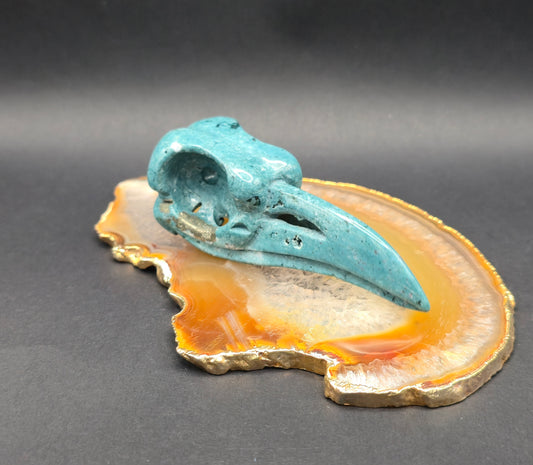 Ocean Jasper Raven Skull