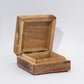 Lion & Snakes Enameled mango wood box